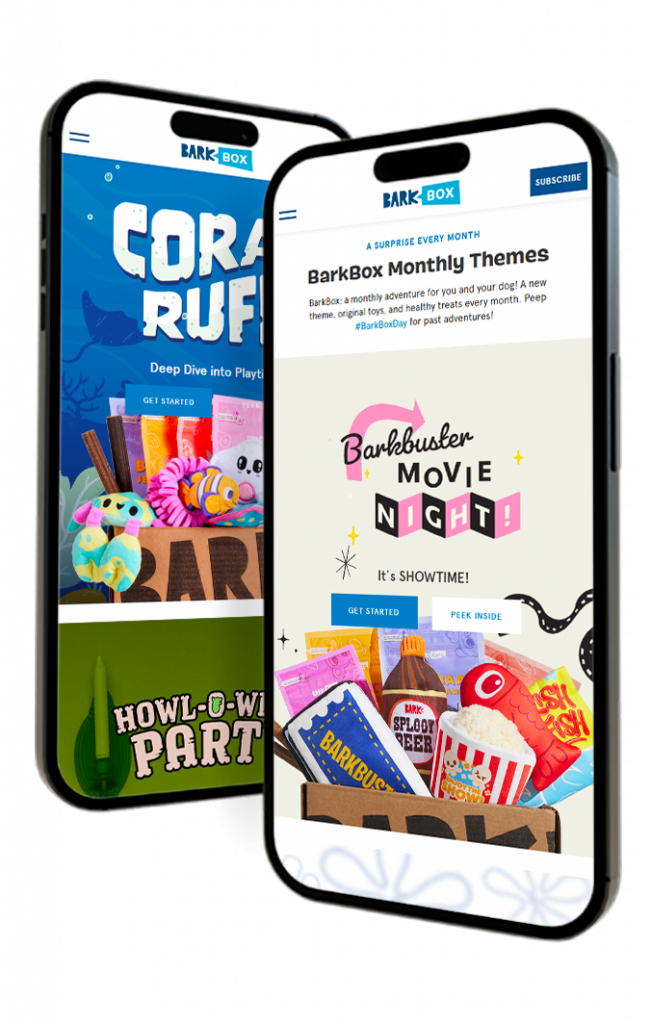 Case Study Barkbox | Taktical Digital